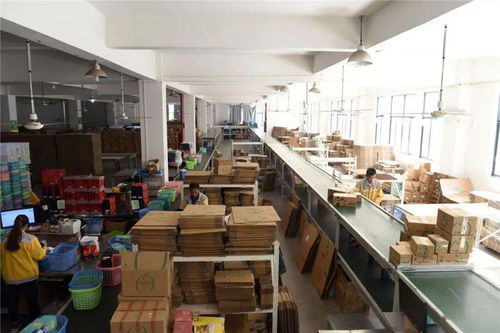 臨安工廠備戰雙十一 生產不停、分倉不歇的緊張有序圖景